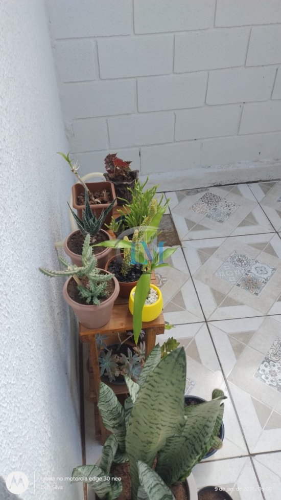 duplex-venda-bandeirinhas-1079810